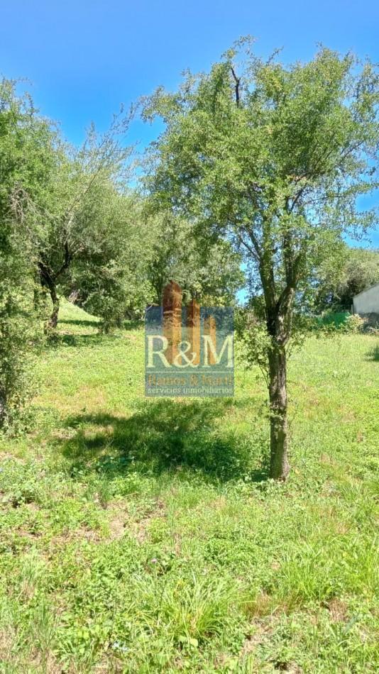 Foto de RIO CEBALLOS: LOTE 715 M2 CON ESCRITURA, imagen 2