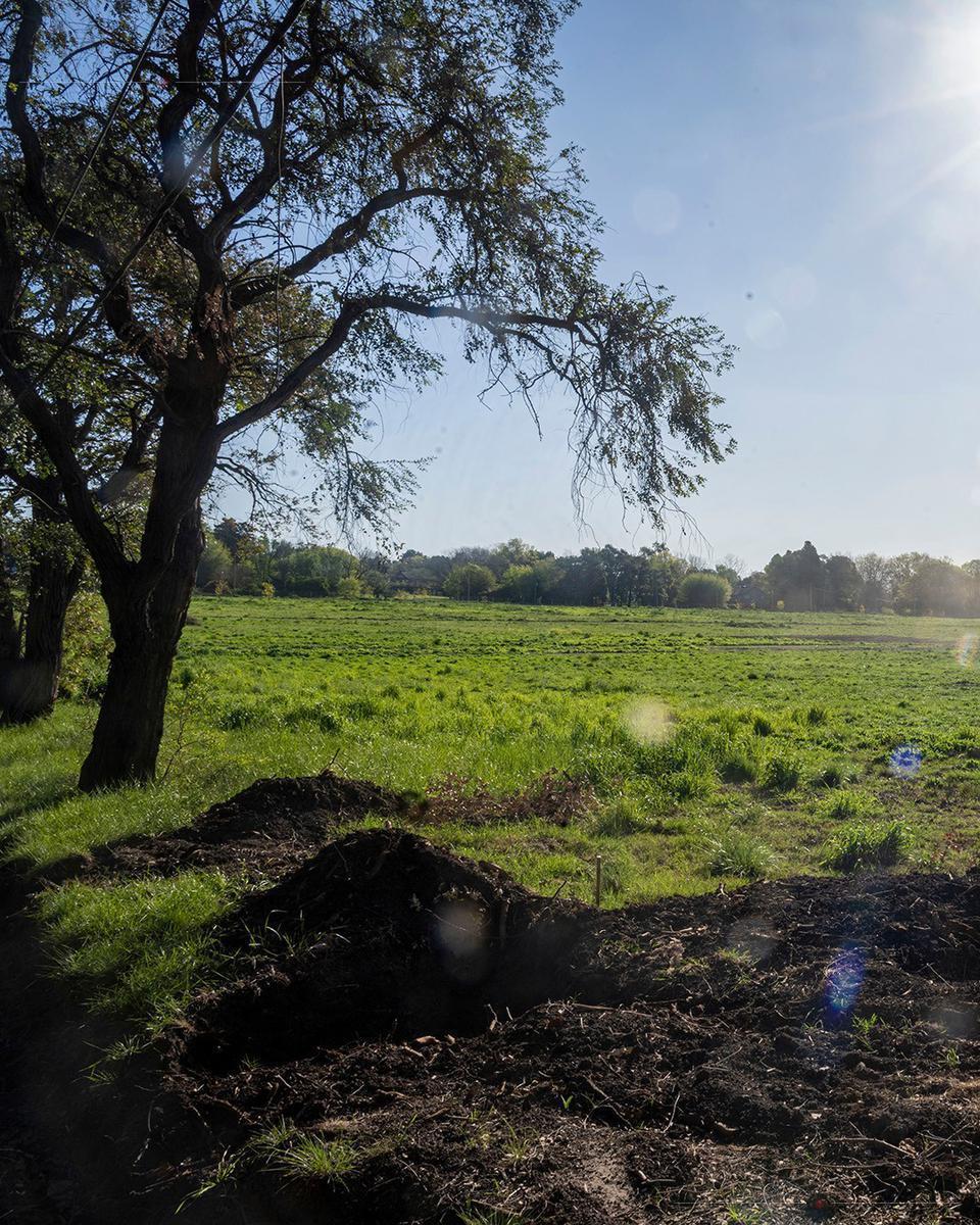 Foto de Venta Lote en M Chico, imagen 3