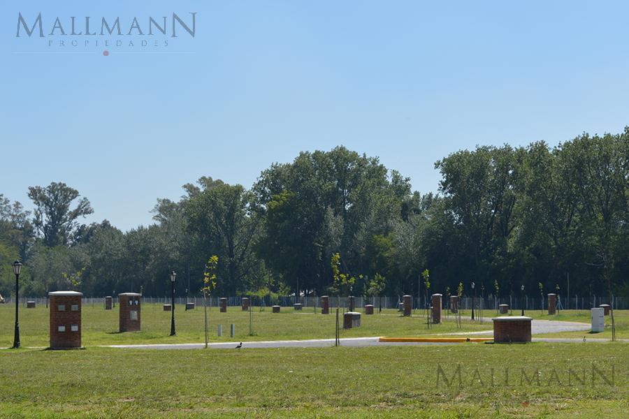 Foto de Venta Lote en San Pablo Chico, imagen 2