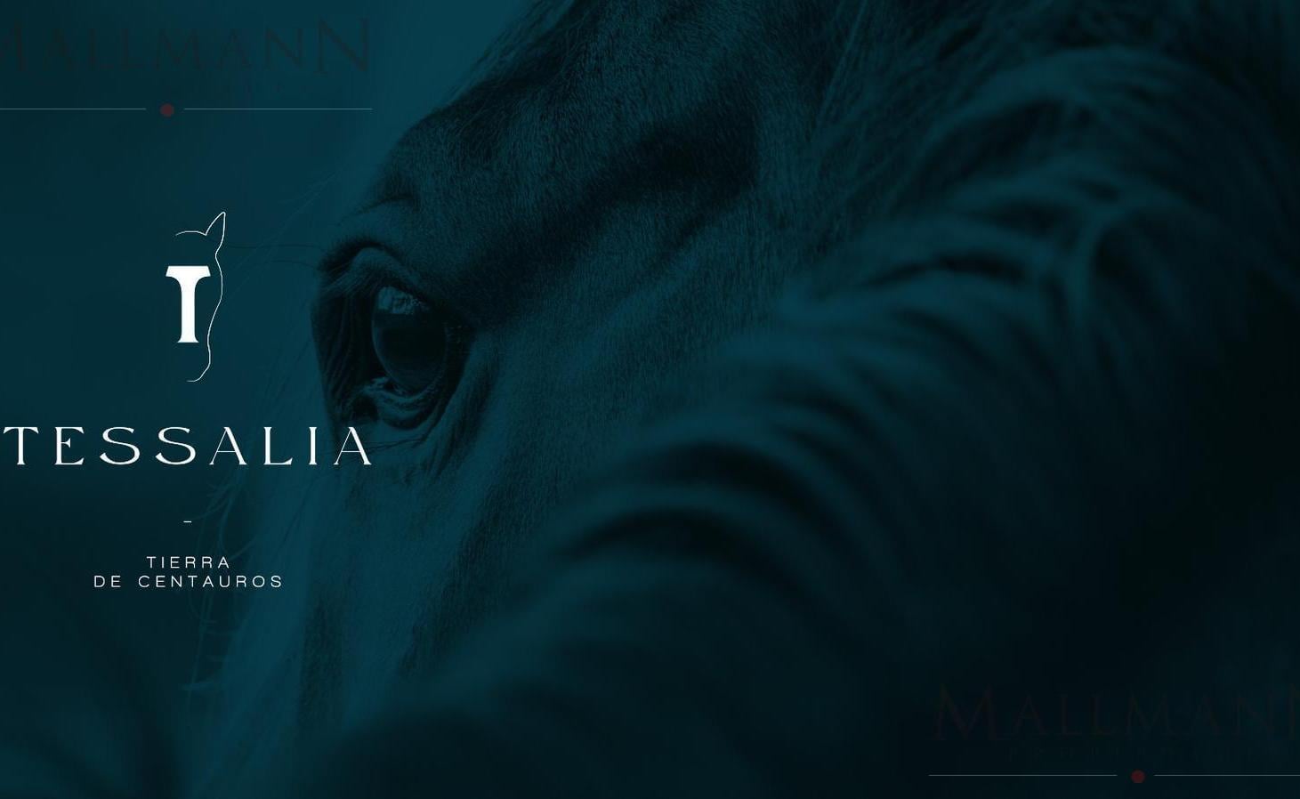 Foto de TESSALIA - Tierra de Centauros | Mallmann Propiedades, imagen 5