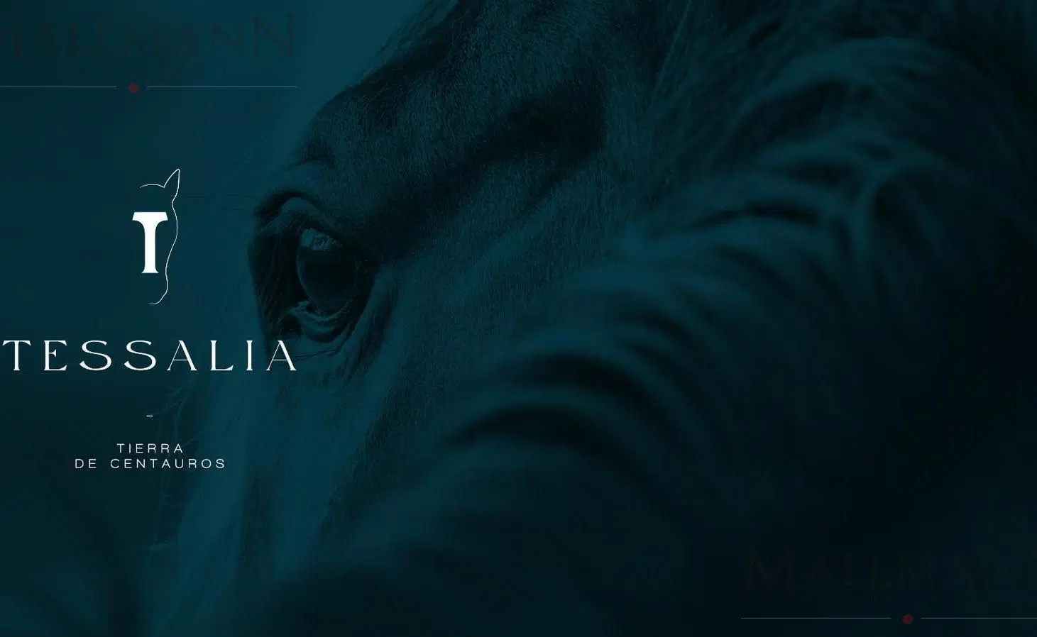TESSALIA - Tierra de Centauros | Mallmann Propiedades 5