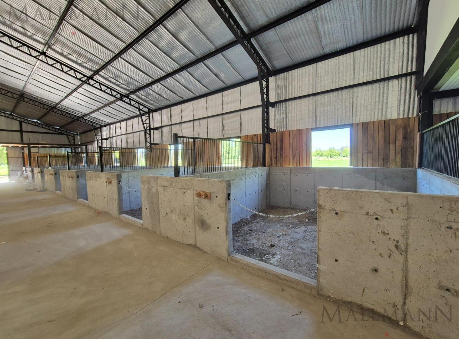 Foto de Venta/Alquiler Nave con Caballerizas en Tessalia, General Rodríguez, imagen 5