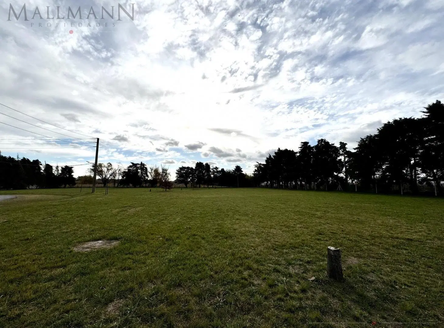 Venta Terreno en Parque Industrial Ecológico de la Cruz Excelente Acceso 5
