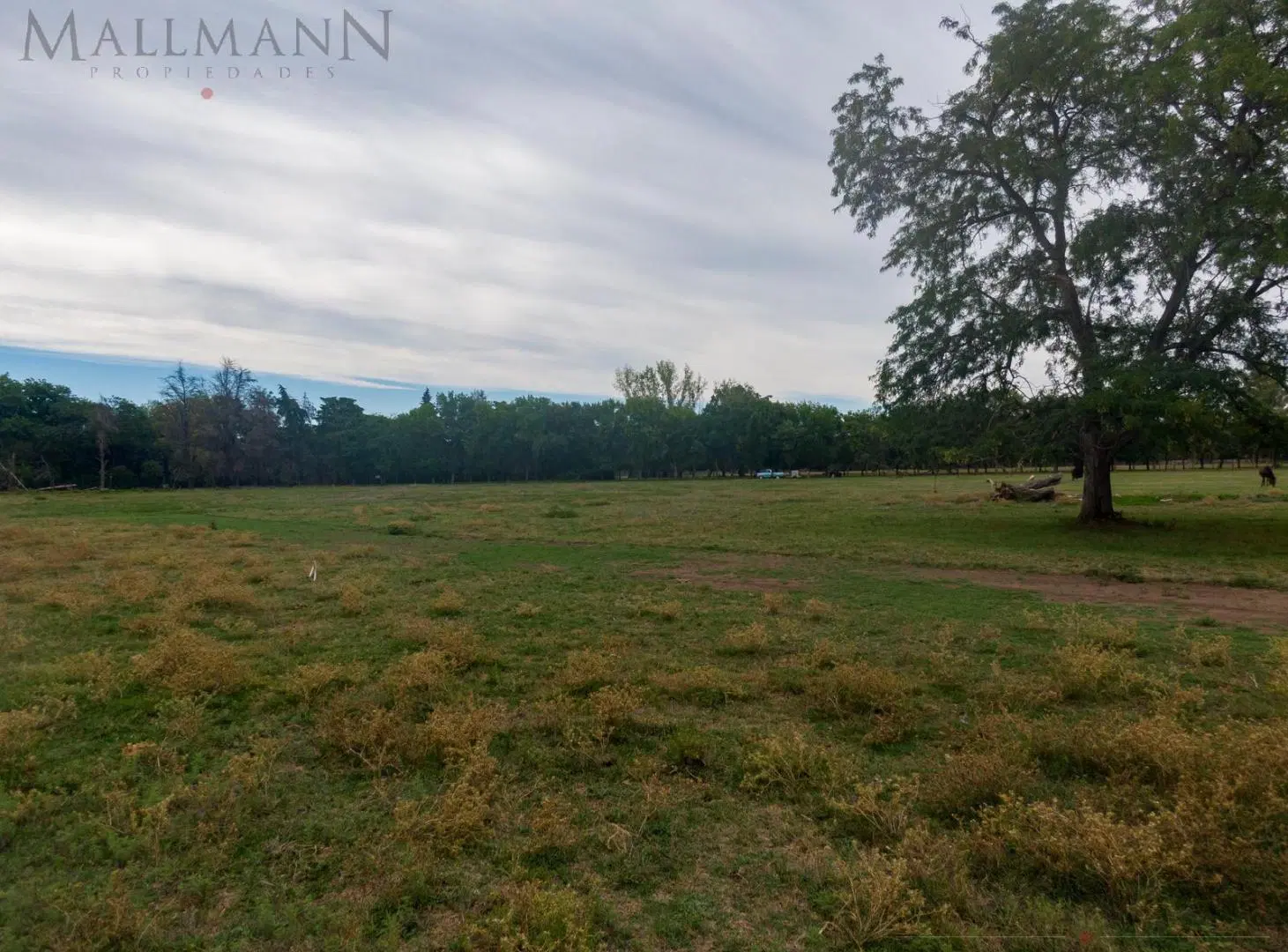 Lote en Venta en La Tartana, Pilará 3