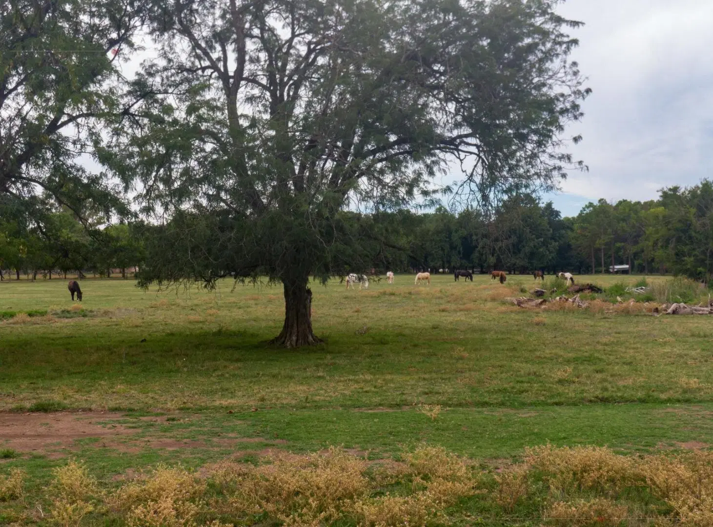 Lote en Venta en La Tartana, Pilará 3