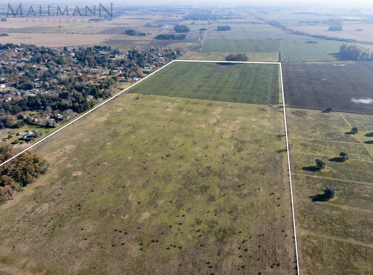Foto de Venta de Campo de 32 Has. Pavón. Acceso desde Panamericana. Zona, imagen 1