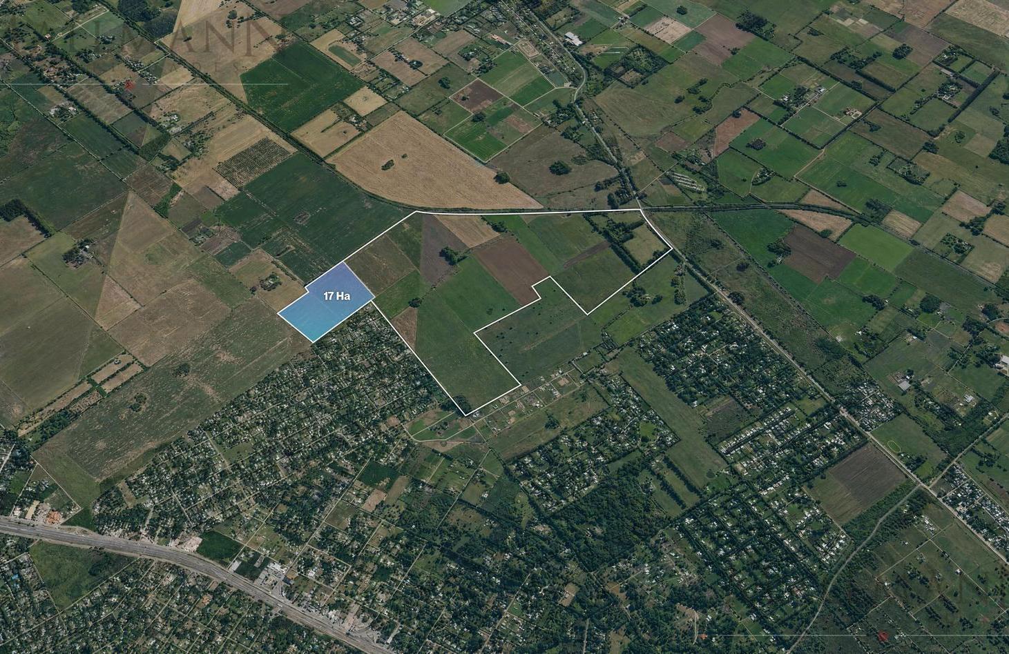 Foto de Venta de Campo de 17,5 Has. Pavón. Acceso desde Panamericana. Zona, imagen 5