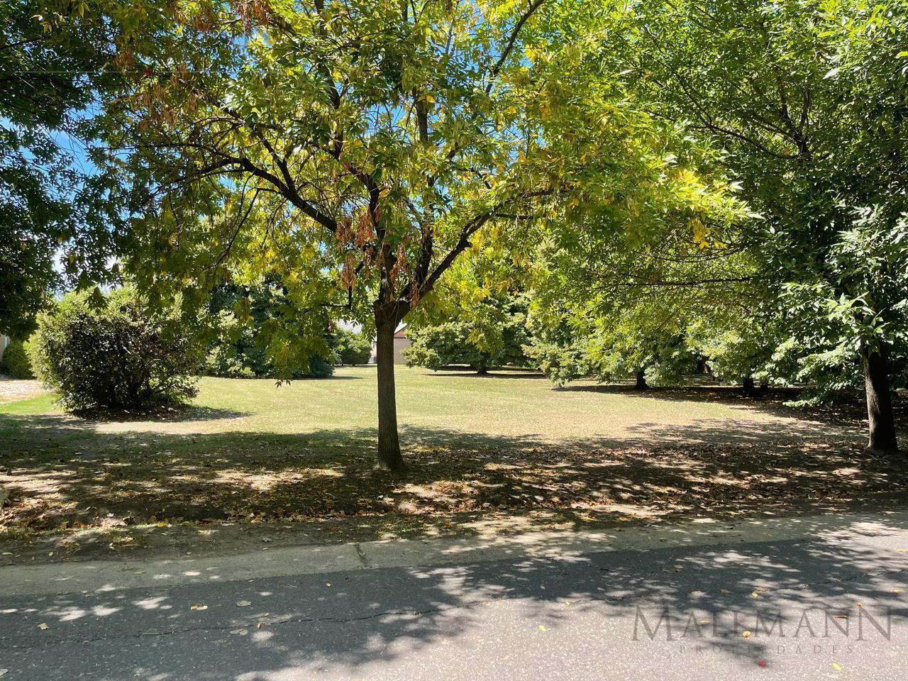 Foto de Lote en Venta Centauros, imagen 5