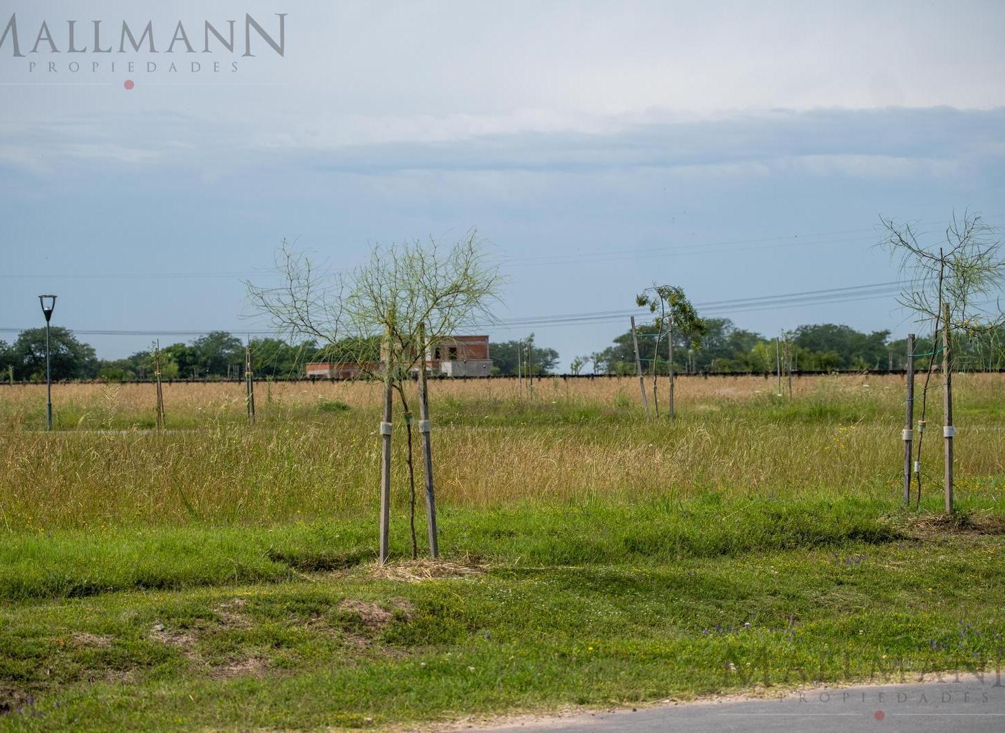 Foto de Lote en Venta Estancias del Pilar, imagen 5