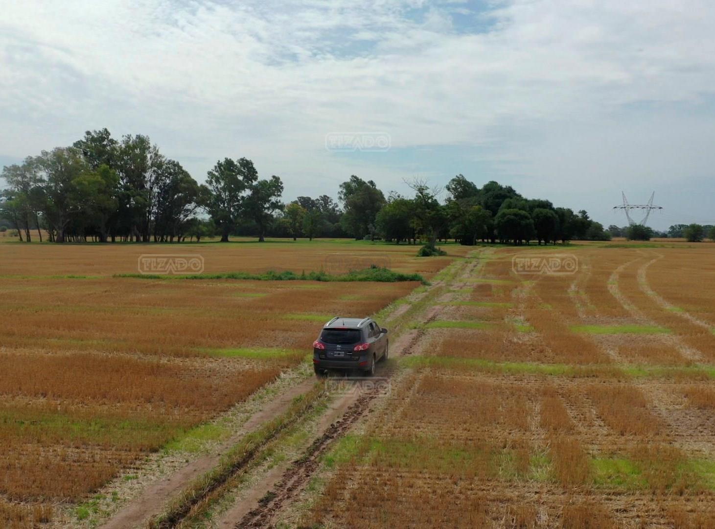 Foto de Terreno Campo en Venta ubicado en Exaltación de la Cruz, Zona Norte, imagen 4