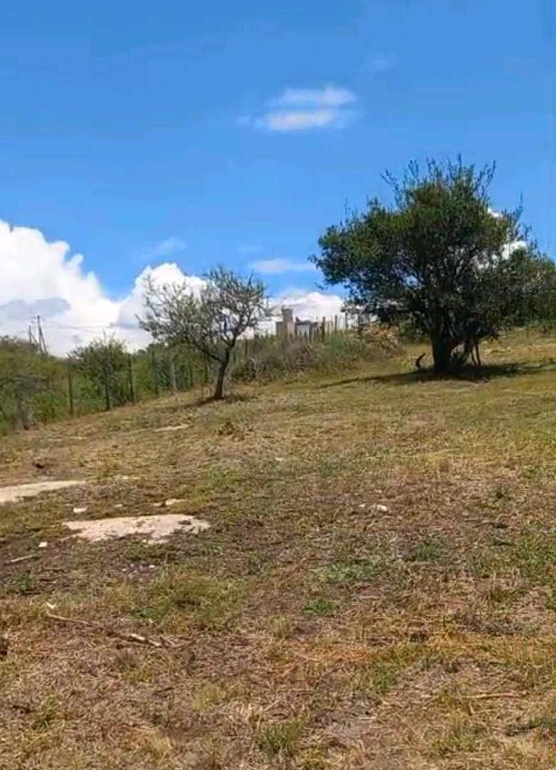 Foto de VENDO HERMOSO TERRENO – ESTANCIA VIEJA Excelente oportunidad, imagen 5