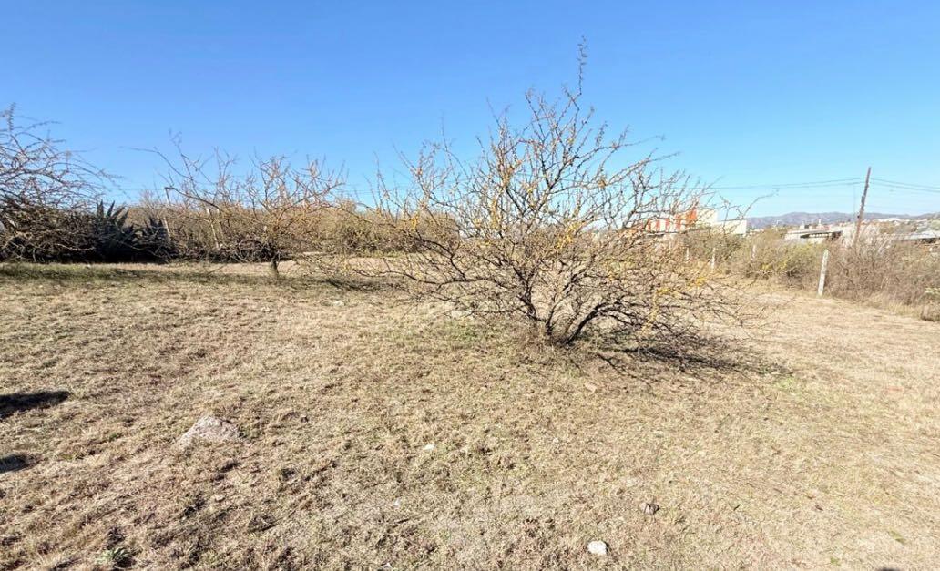 Foto de TERRENO DE 1.078 mts. VILLA SANTA CRUZ DEL LAGO, imagen 2