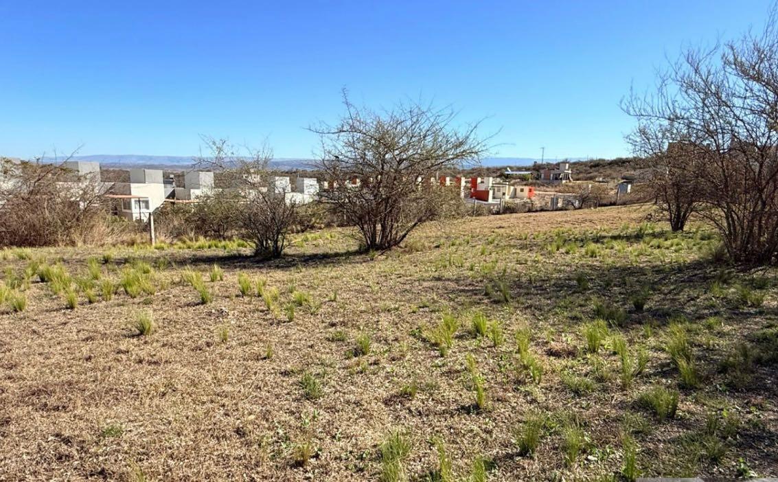 Foto de TERRENO DE 1.078 mts. VILLA SANTA CRUZ DEL LAGO, imagen 1