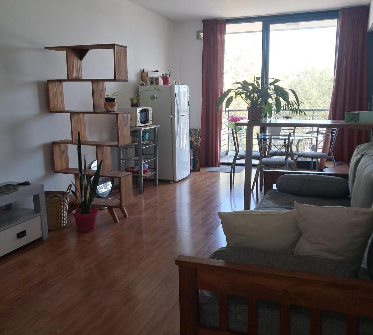 Foto de Departamento con balcon ambiente divisible en Parque Avellanreda, imagen 1