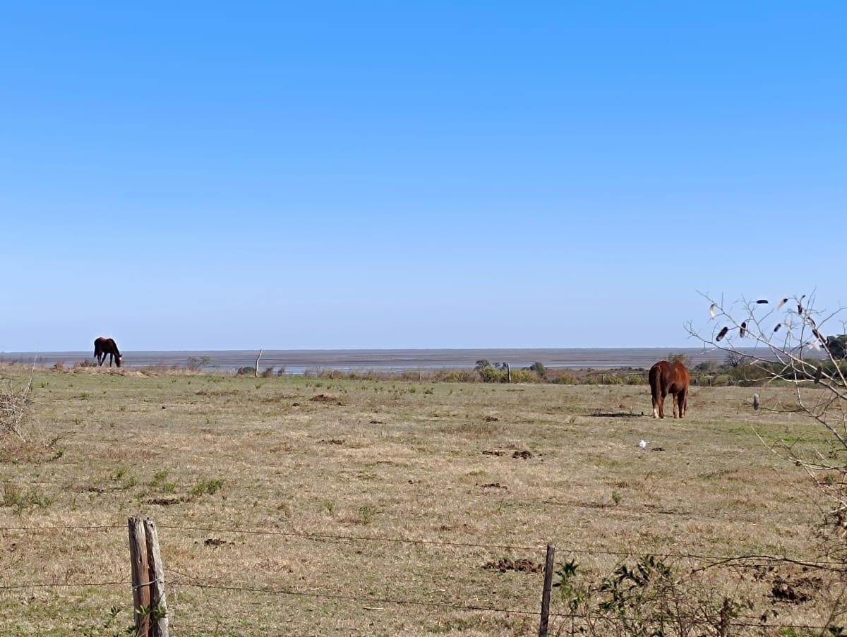 Lote en Venta 2