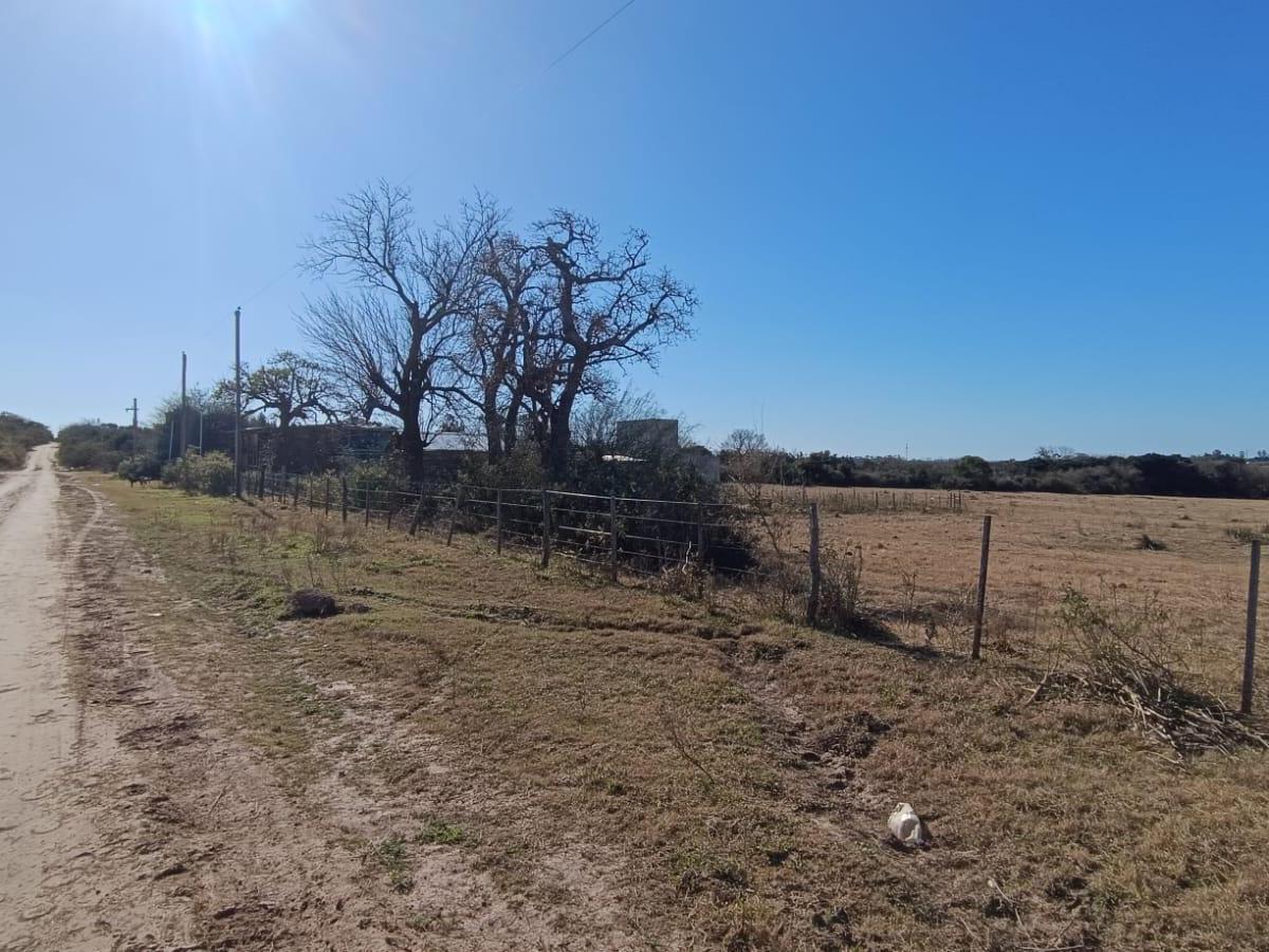 Lote en Venta 5