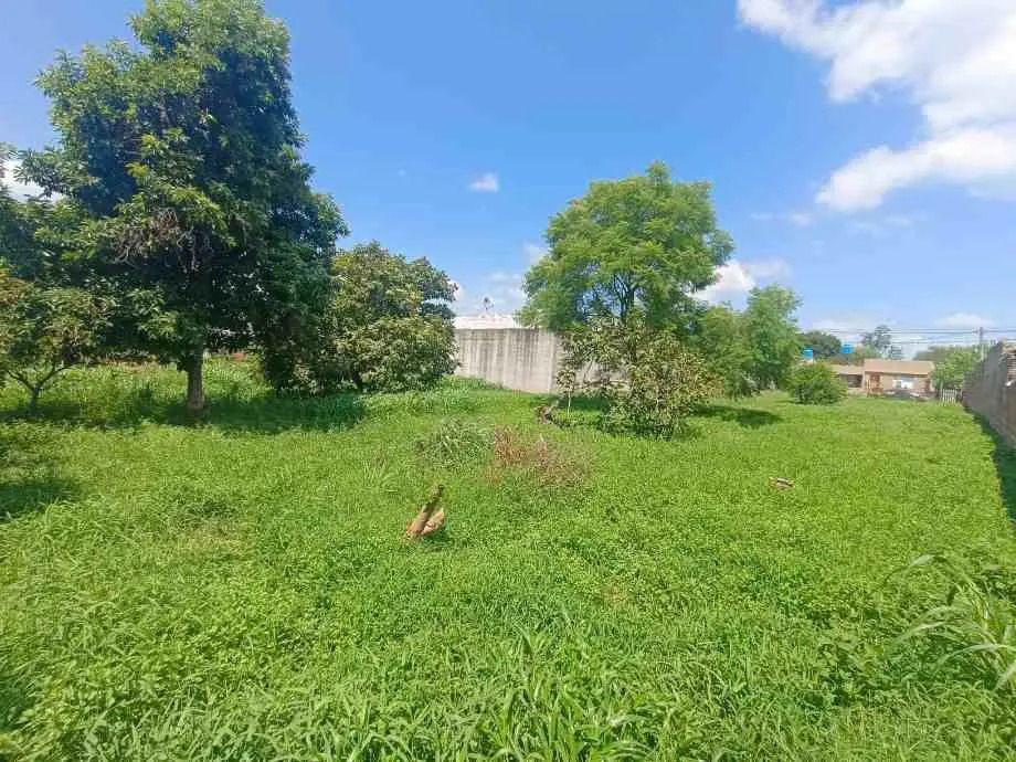 Foto de Lote En Venta En Victoria, imagen 3