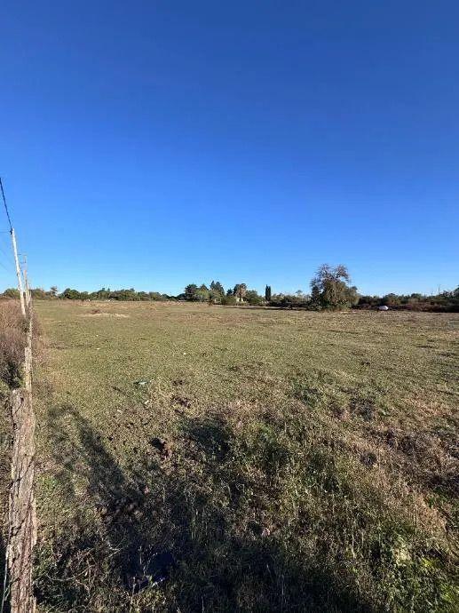 Foto de Lote En Venta En Victoria, imagen 5