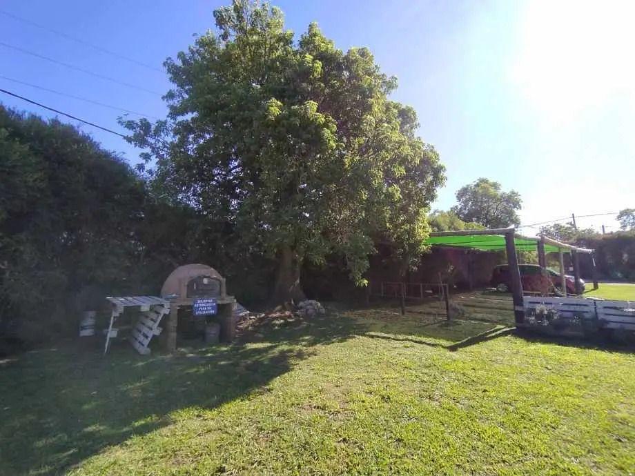 Foto de Casa En Venta En Victoria, imagen 3