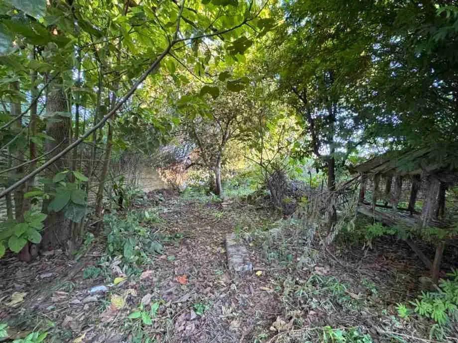 Foto de Casa En Venta En Victoria, imagen 5