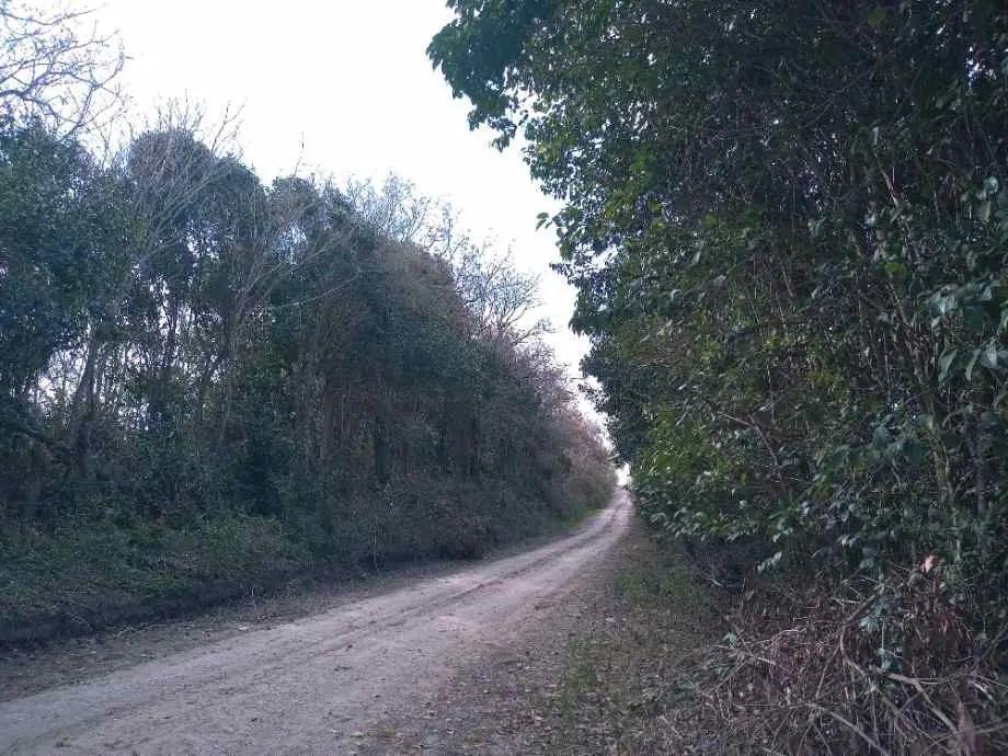 Foto de Quinta En Venta En Victoria, imagen 5