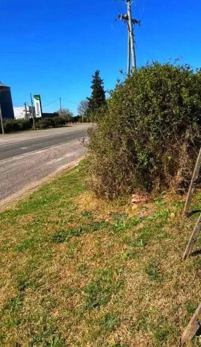 Foto de Lote En Venta En Victoria, imagen 1