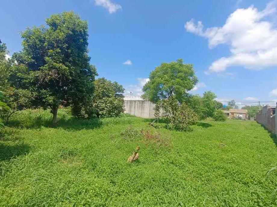 Foto de Lote En Venta En Victoria, imagen 4