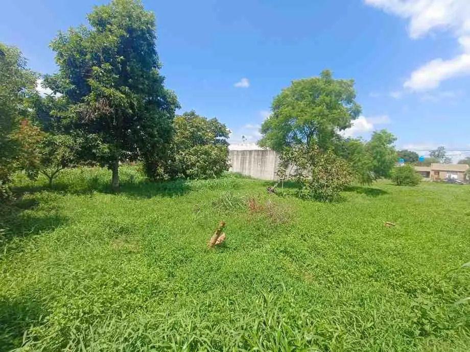 Foto de Lote En Venta En Victoria, imagen 5