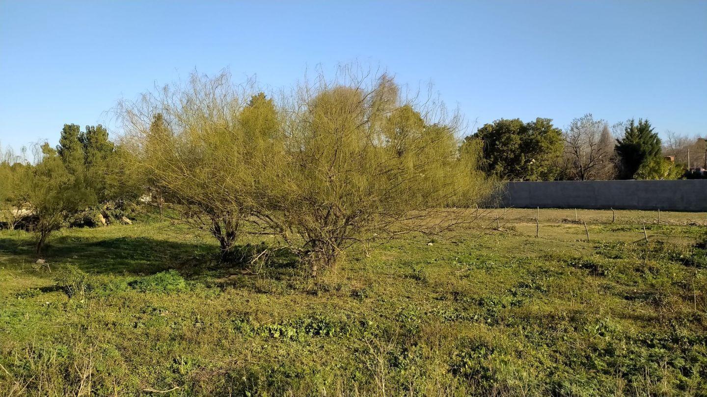 Foto de Terreno en Venta en Victoria, Entre Rios, imagen 5