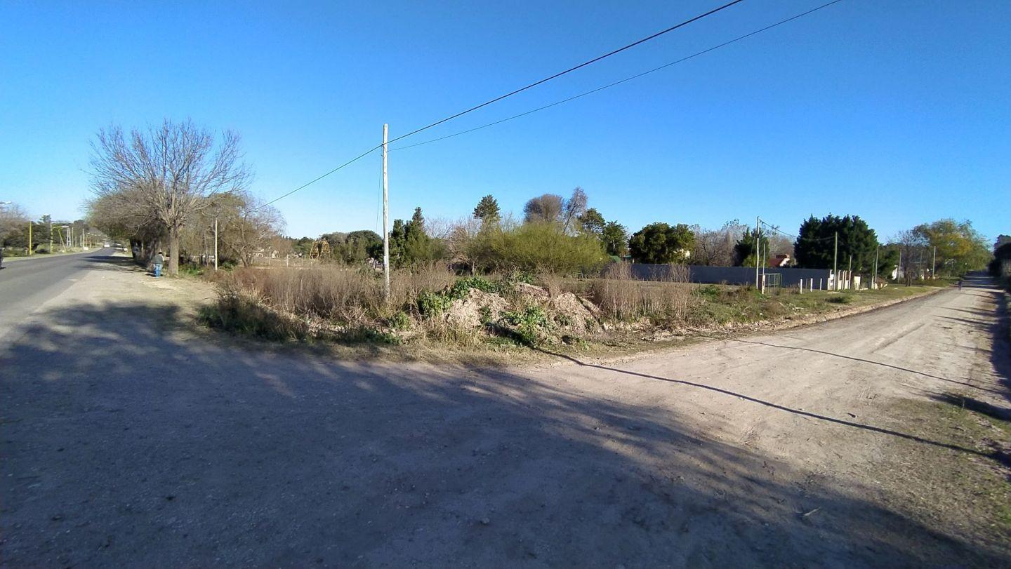 Foto de Terreno en Venta en Victoria, Entre Rios, imagen 3
