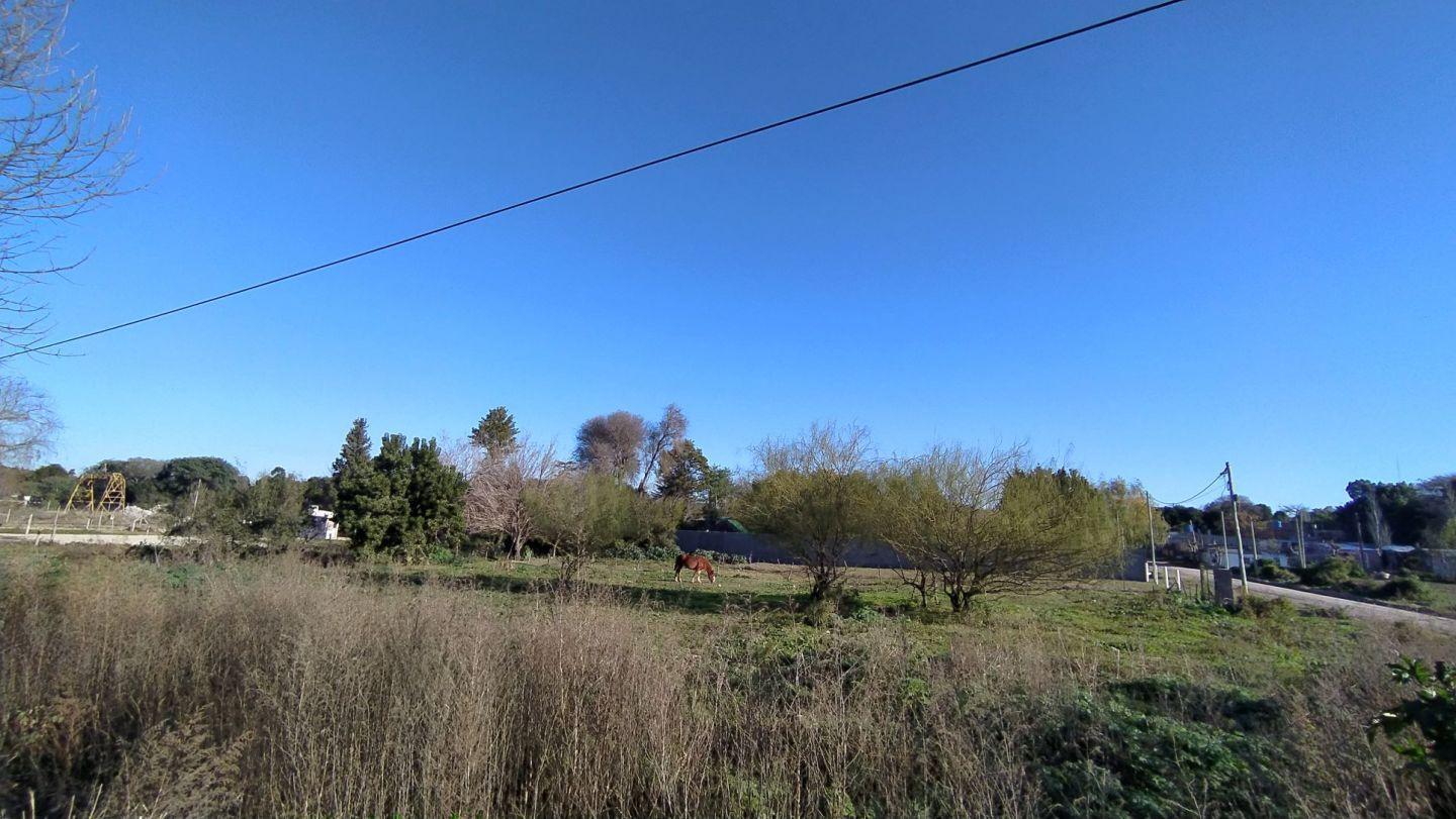 Foto de Terreno en Venta en Victoria, Entre Rios, imagen 2