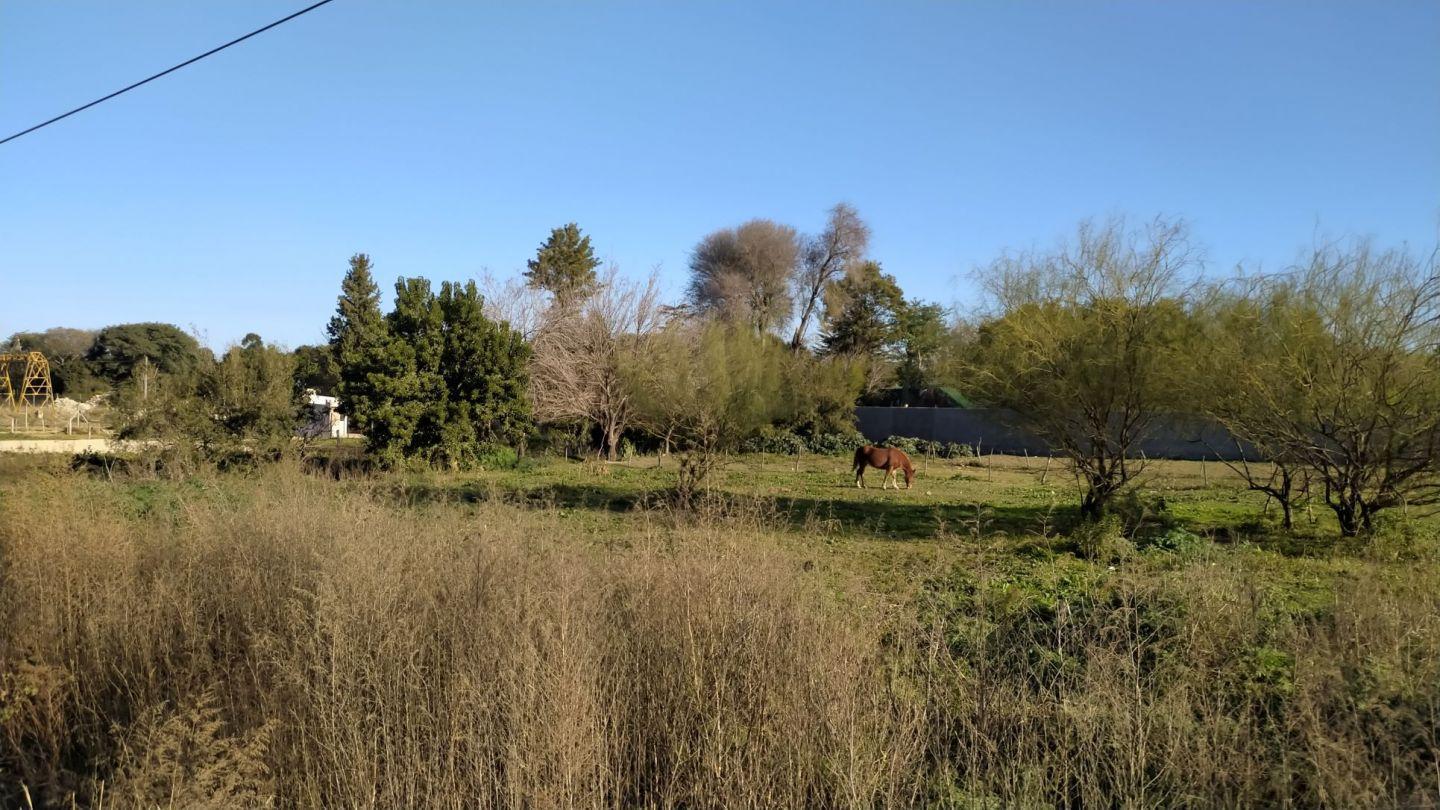 Foto de Terreno en Venta en Victoria, Entre Rios, imagen 4