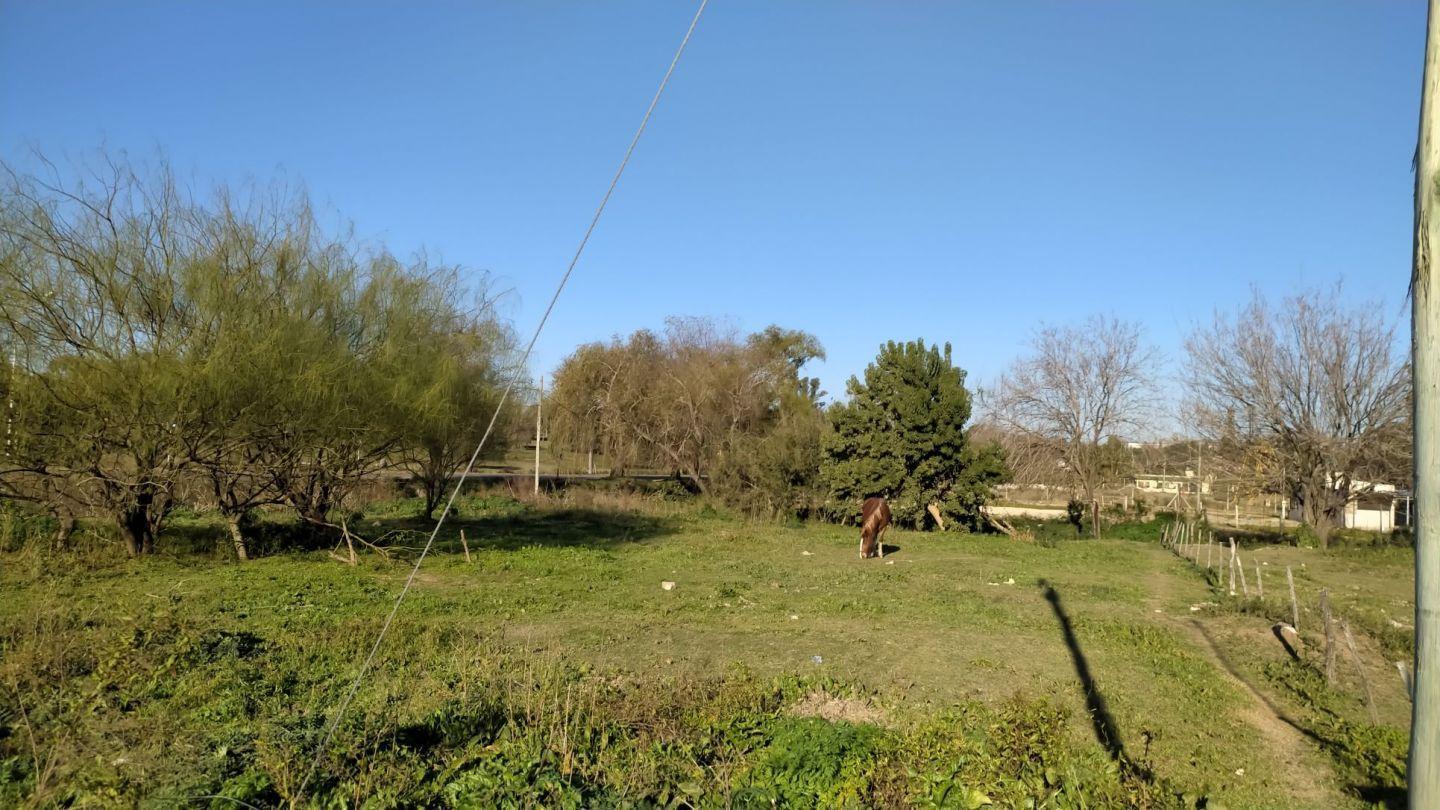 Foto de Terreno en Venta en Victoria, Entre Rios, imagen 1