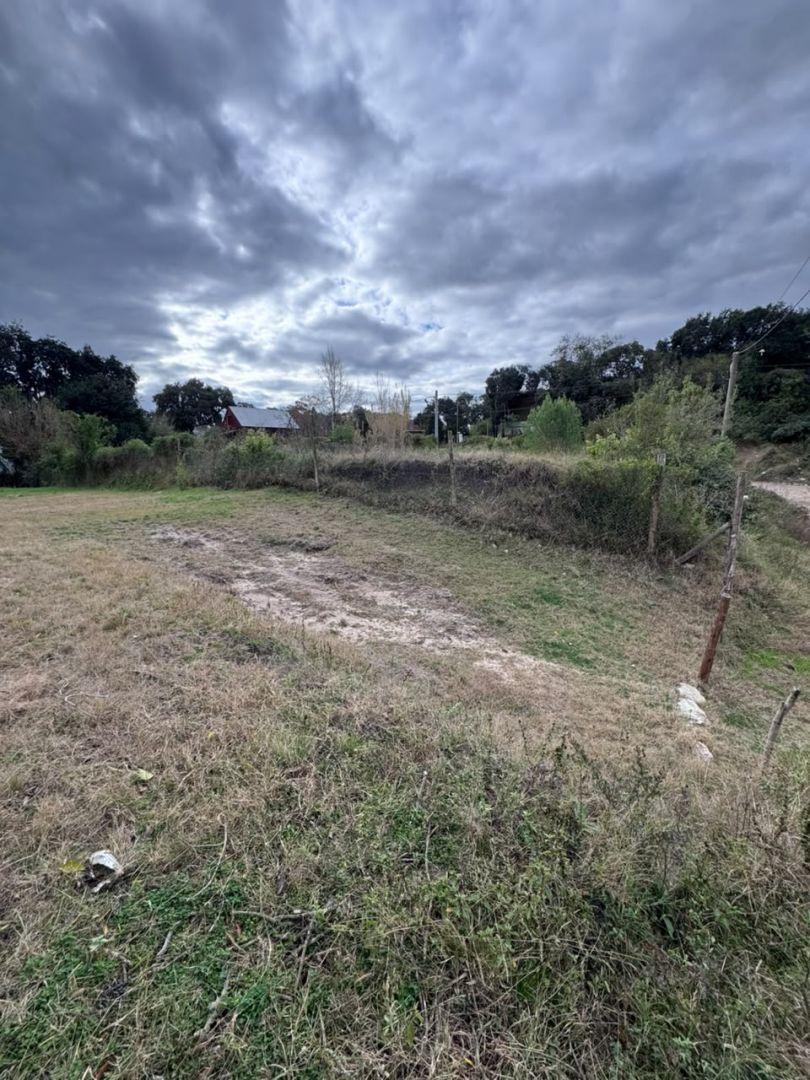 Foto de Terreno en Venta en Victoria, Entre Rios, imagen 5