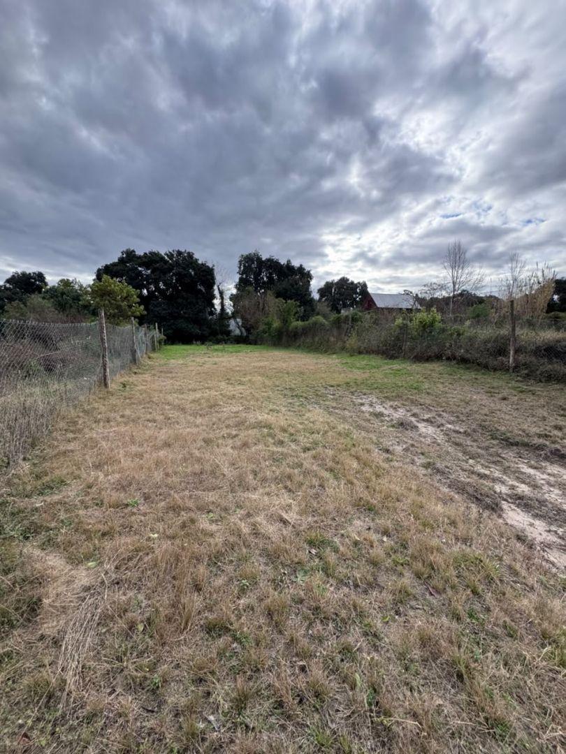 Foto de Terreno en Venta en Victoria, Entre Rios, imagen 4