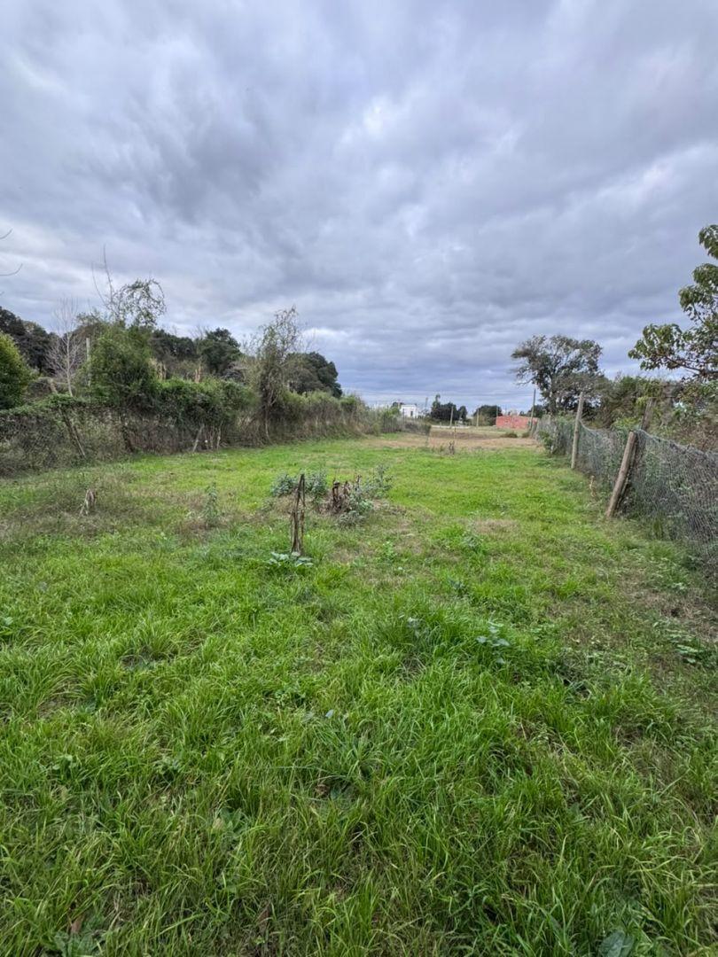 Foto de Terreno en Venta en Victoria, Entre Rios, imagen 1