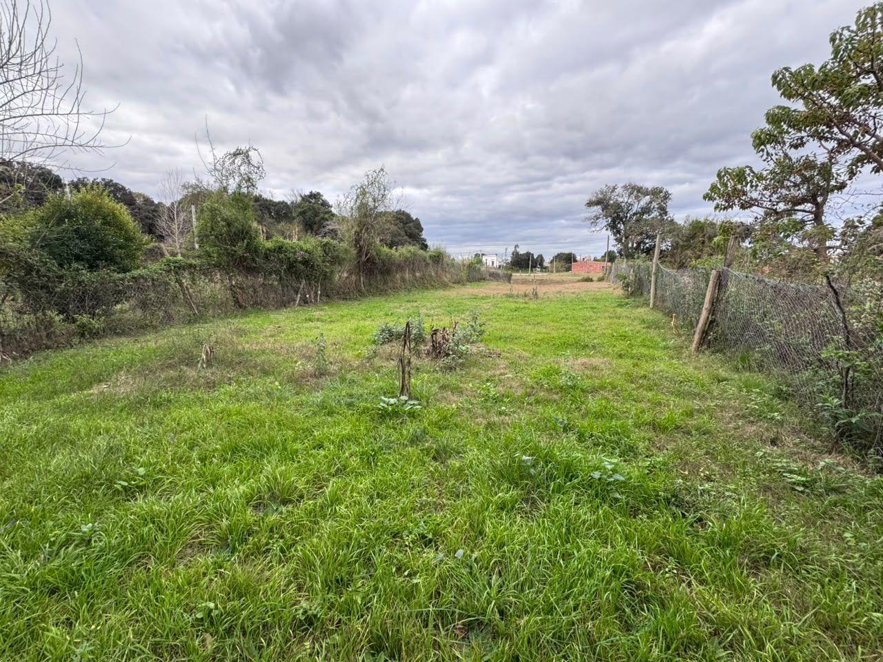 Foto de Terreno en Venta en Victoria, Entre Rios, imagen 2