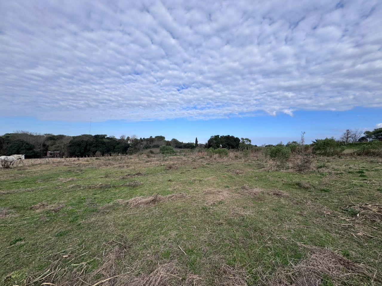 Foto de Lote en venta en Victoria, Entre Rios, imagen 4