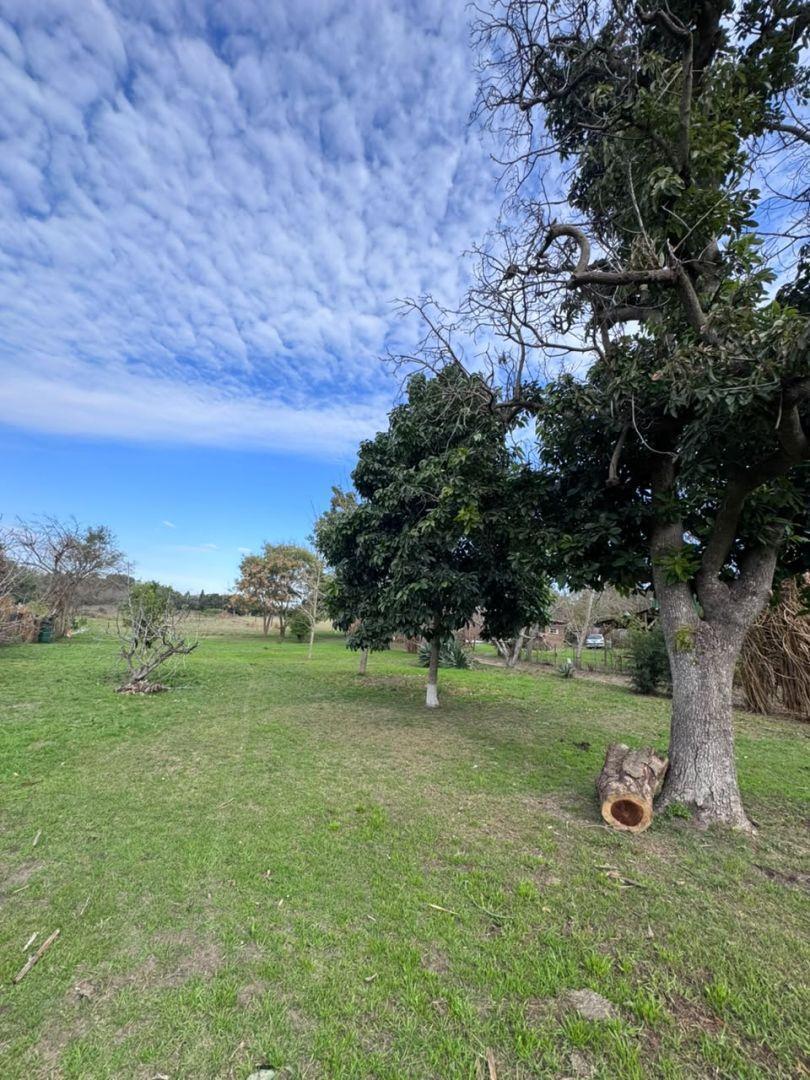 Foto de Lote en venta en Victoria, Entre Rios, imagen 1