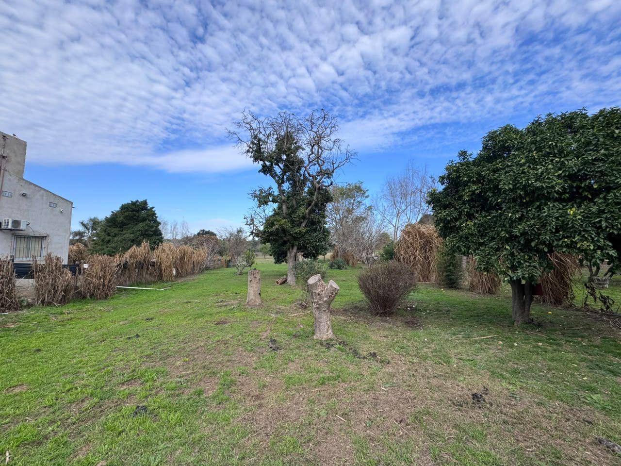 Foto de Lote en venta en Victoria, Entre Rios, imagen 5