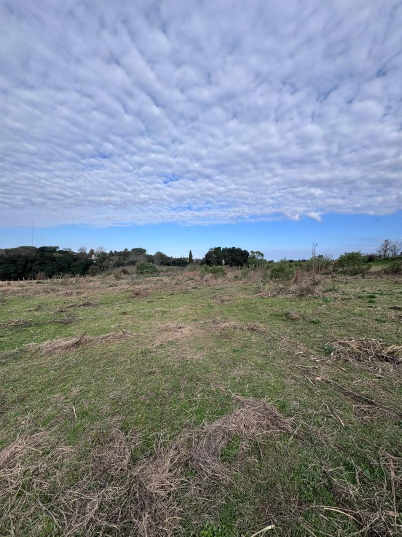 Foto de Lote en venta en Victoria, Entre Rios, imagen 2