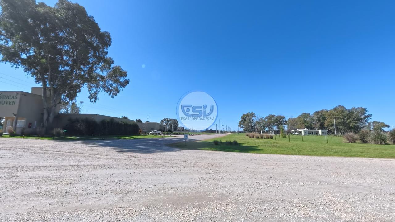 Foto de Venta Lote 654 m2 posesion inmediata en Fincas Joven, San Vicente, imagen 2