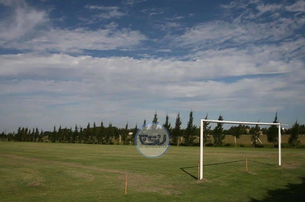 Foto de Venta lote 700 m2 con posesión inmediata, Canning, imagen 4
