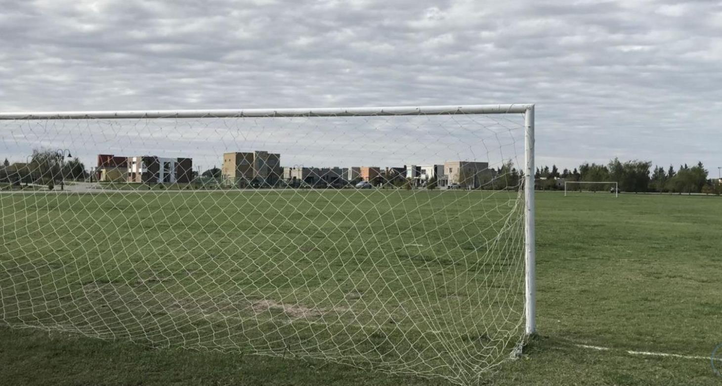 Foto de Terreno en Los Talas, imagen 5