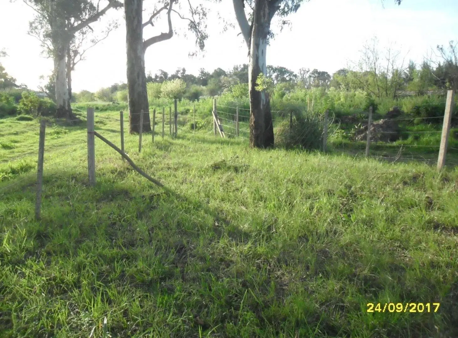 Terreno en Las Glorias 2