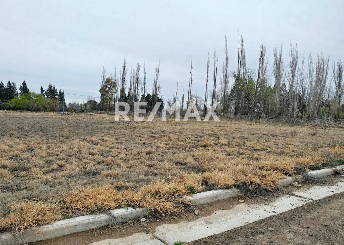 VENTA TERRENO RESIDENCIAL EN GENERAL ROCA 2