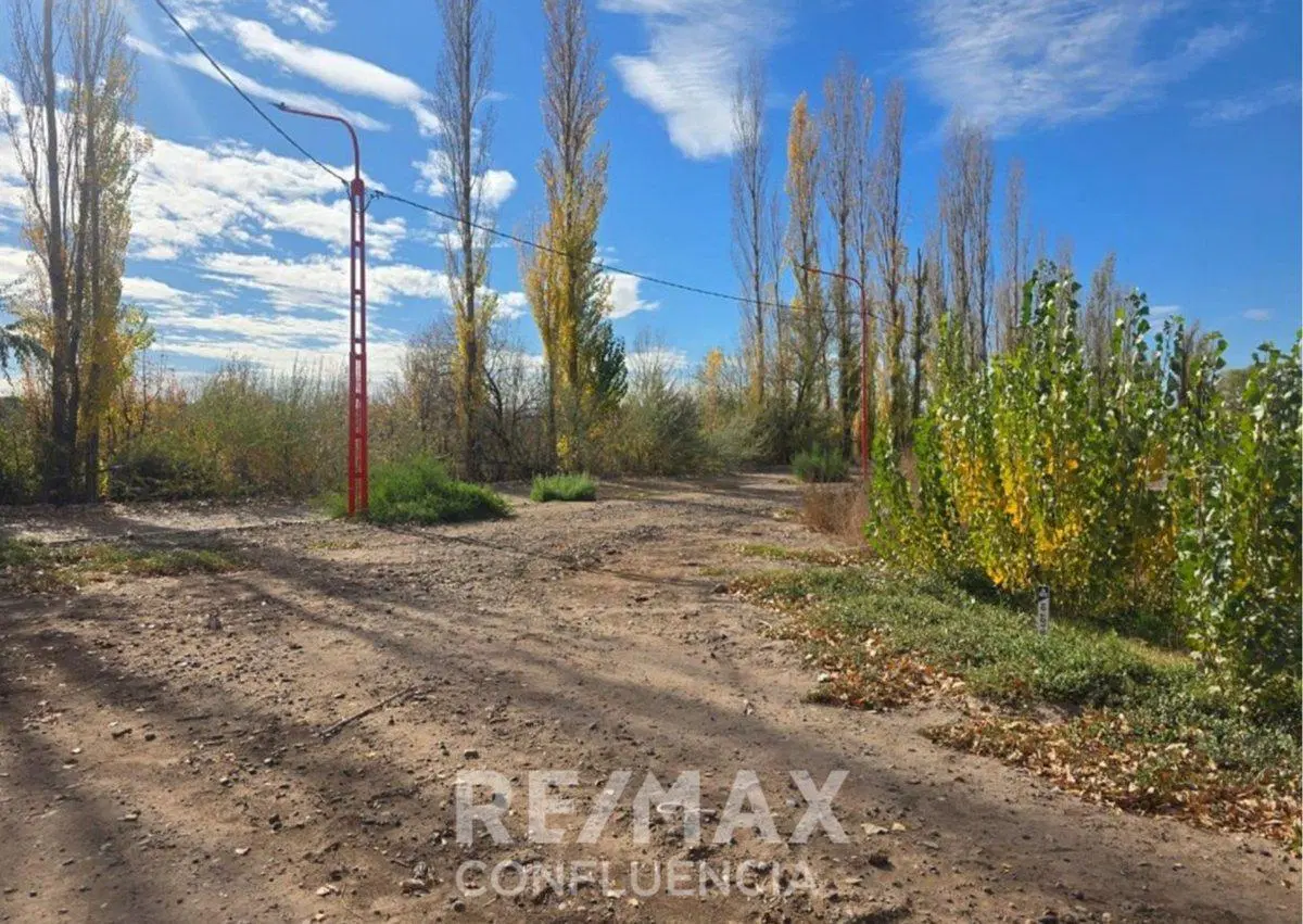 TERRENO EN VENTA PUEBLO NORTE CIPOLLETTI 4
