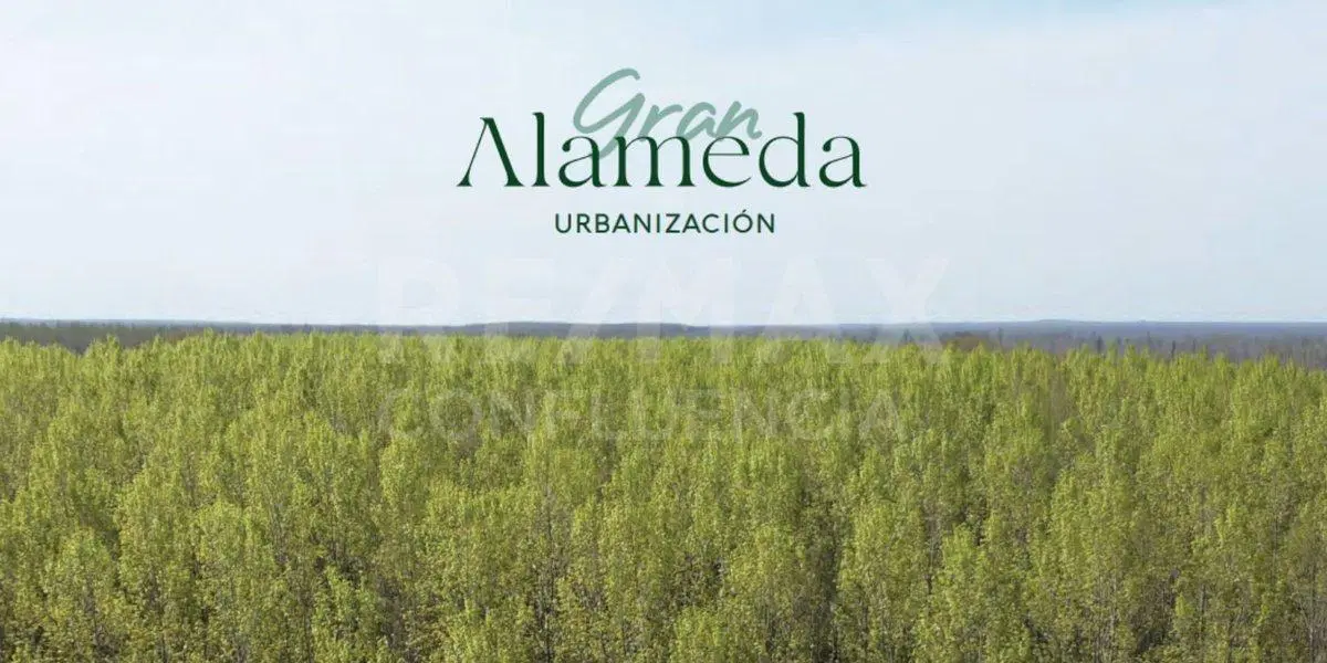 VENTA LOTE COMERCIAL B° GRAN ALAMEDA CIPOLLETTI 3