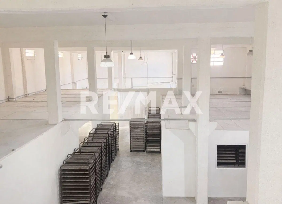 VENTA LOCAL, OFICINAS Y GALPÓN CENTRO CIPOLLETTI 3