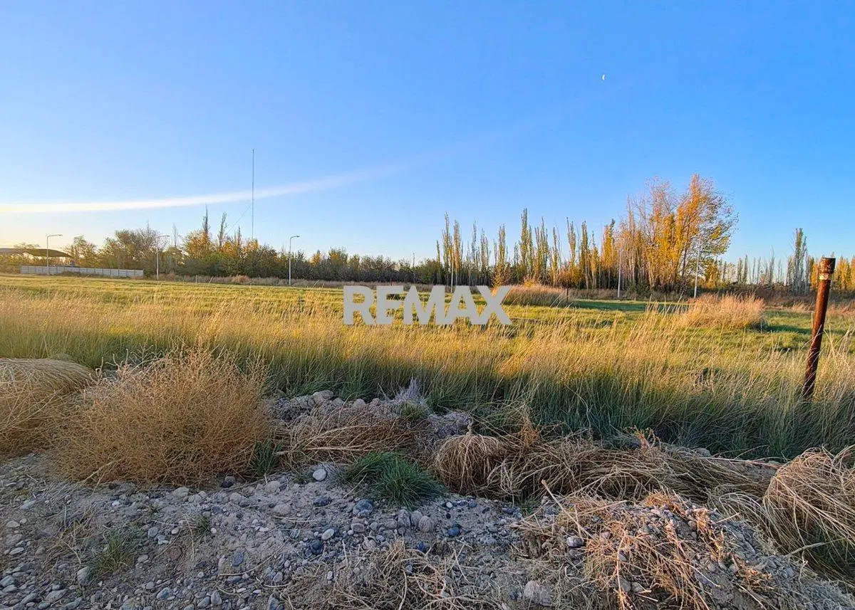 VENTA DE TERRENOS EN LOTEO "LA AGUSTINA" DE ALLEN 3